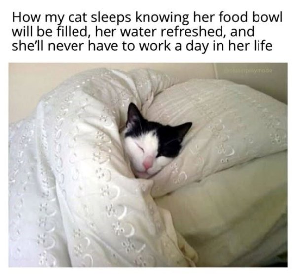 Kind Memes (37 pics) Kind Memes (37 pics)