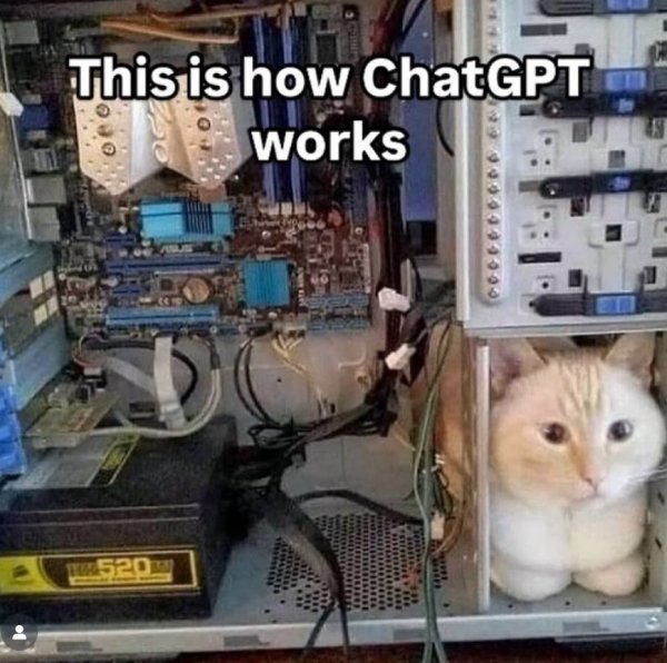 Jokes And Photos For Cats Lovers (32 pics)