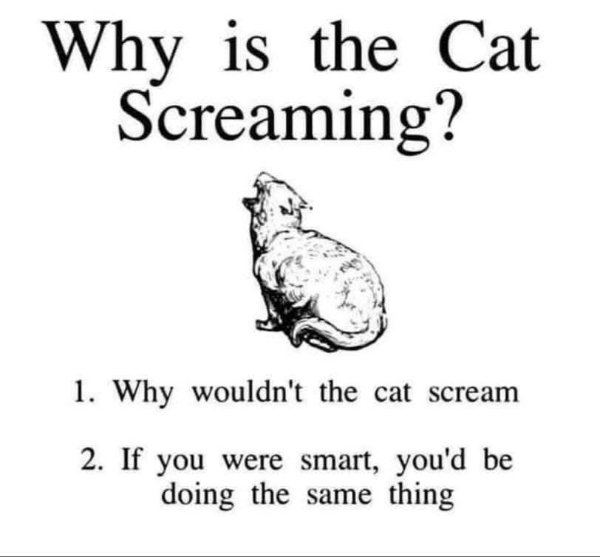 Random Memes (35 pics)