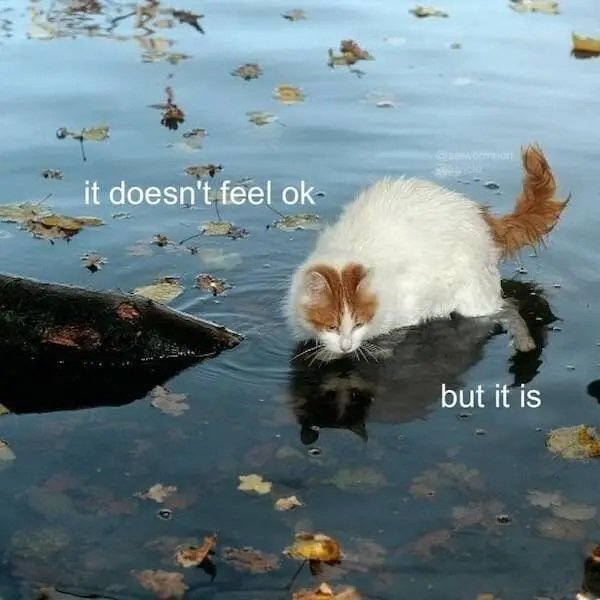 Kind Memes (37 pics) Kind Memes (37 pics)