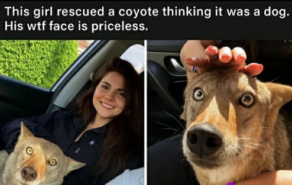 Random Memes (35 pics)