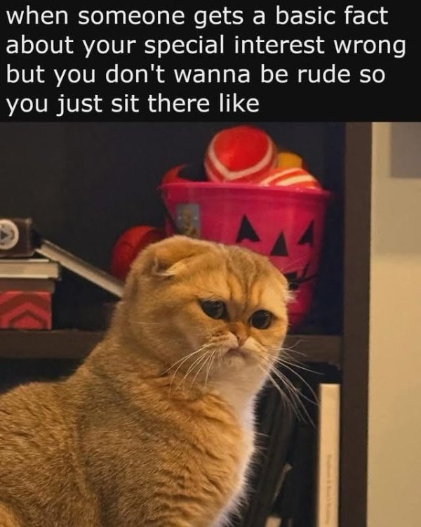 Random Memes (35 pics)