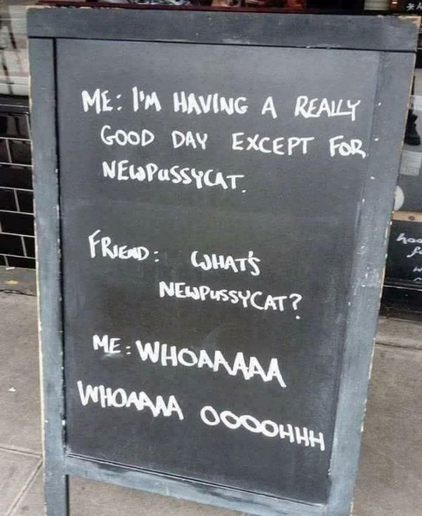 Random Memes (35 pics)