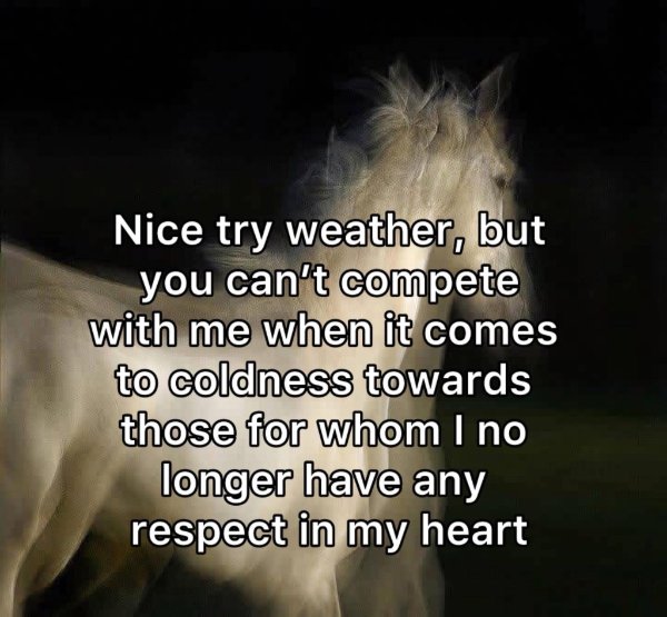 Funny Memes (26 pics)