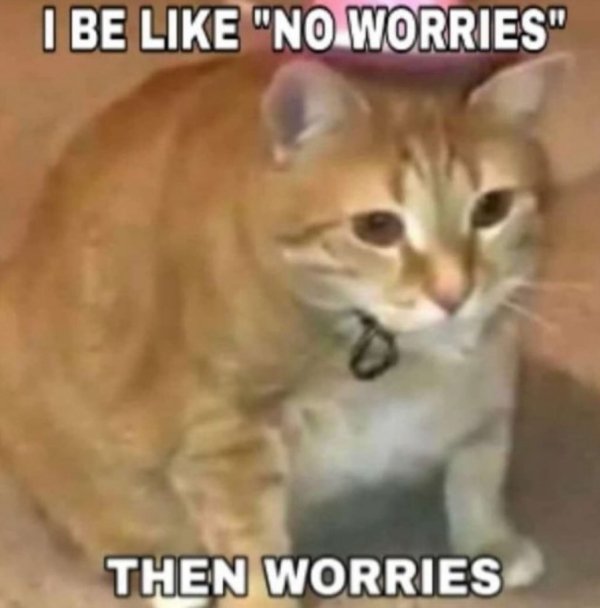 Jokes And Photos For Cats Lovers (32 pics)