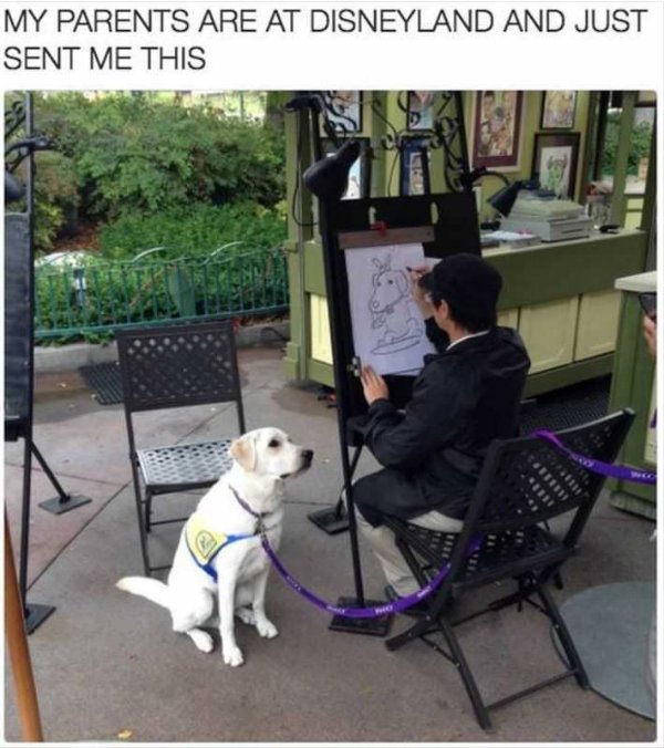 Kind Memes (37 pics) Kind Memes (37 pics)