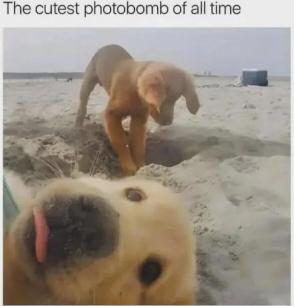 Kind Memes (37 pics) Kind Memes (37 pics)