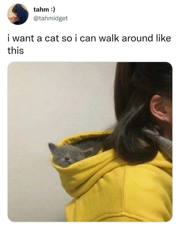 Kind Memes (37 pics) Kind Memes (37 pics)