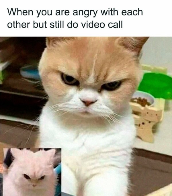 Funny Memes (38 pics)