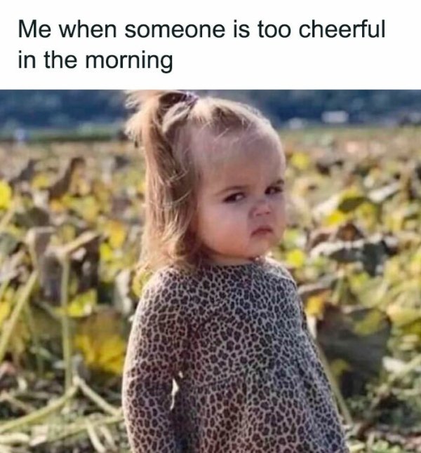 Funny Memes (38 pics)