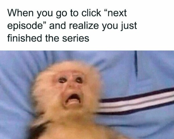 Funny Memes (38 pics)