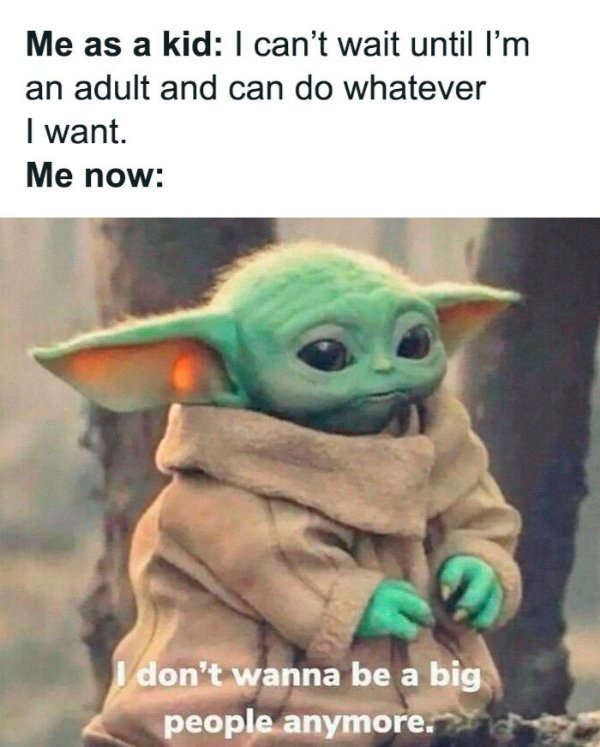 Funny Memes (38 pics)