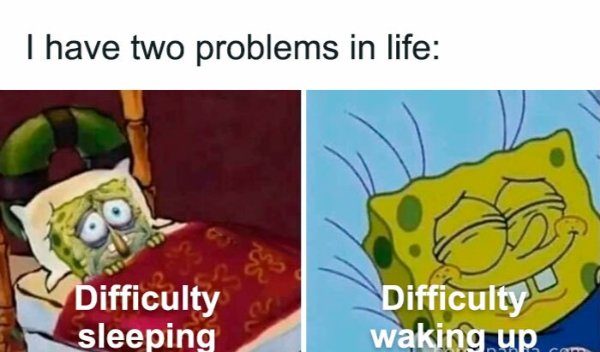 Funny Memes (38 pics)