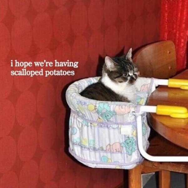 Funny Memes (38 pics)