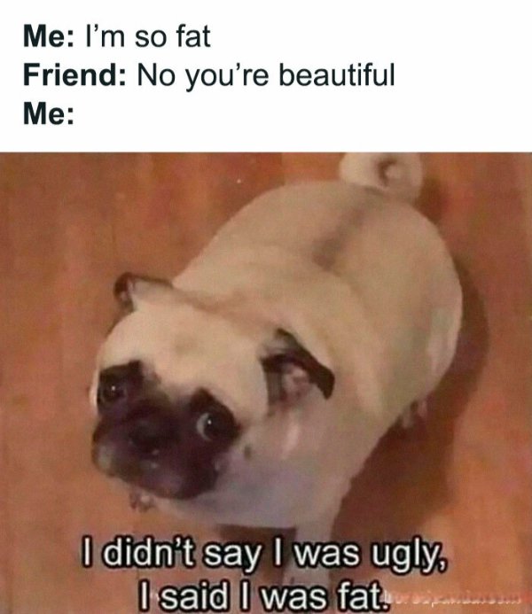 Funny Memes (38 pics)