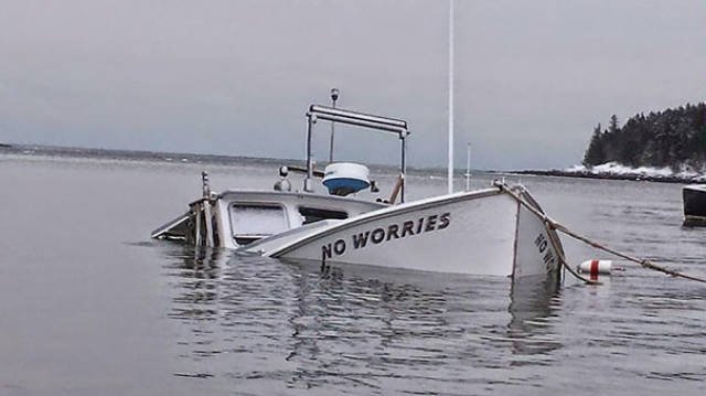 They Don't Care About Anything (66 pics)