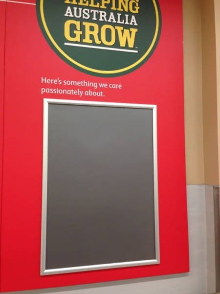 They Don't Care About Anything (66 pics)