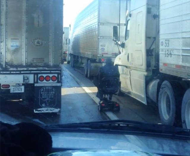 They Don't Care About Anything (66 pics)