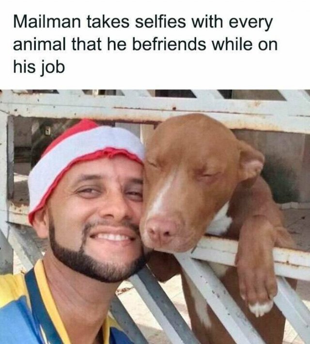 Funny Animals (23 pics)