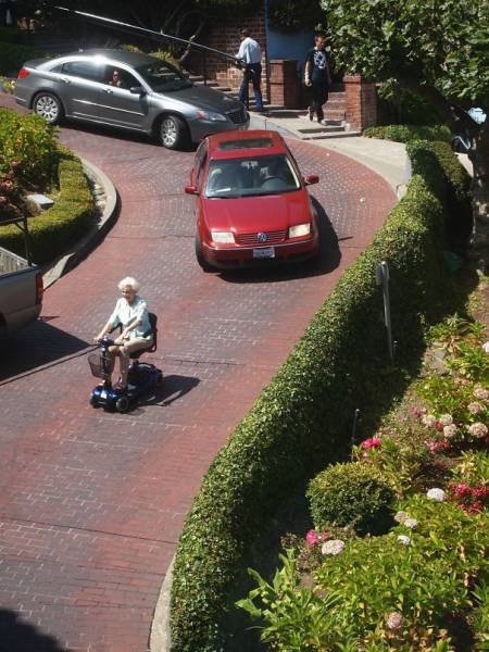 They Don't Care About Anything (66 pics)