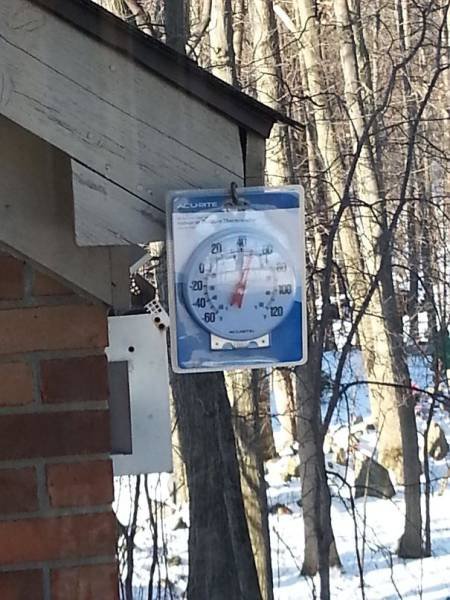 They Don't Care About Anything (66 pics)