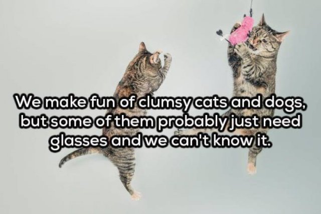 Odd Thoughts (20 pics)