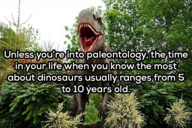 Odd Thoughts (20 pics)