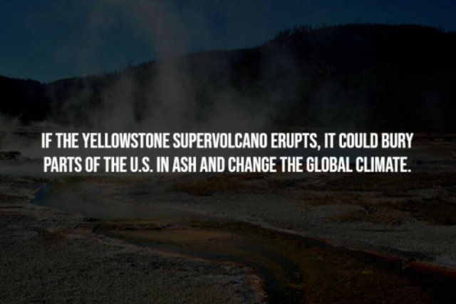 Creepy Facts (15 pics)