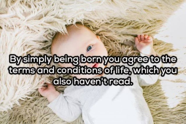 Odd Thoughts (20 pics)