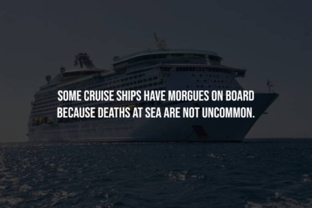 Creepy Facts (15 pics)