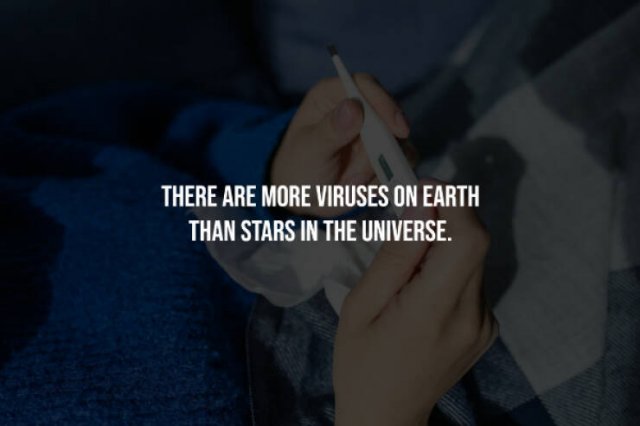 Creepy Facts (15 pics)