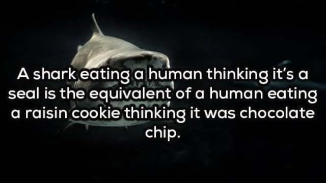 Odd Thoughts (20 pics)