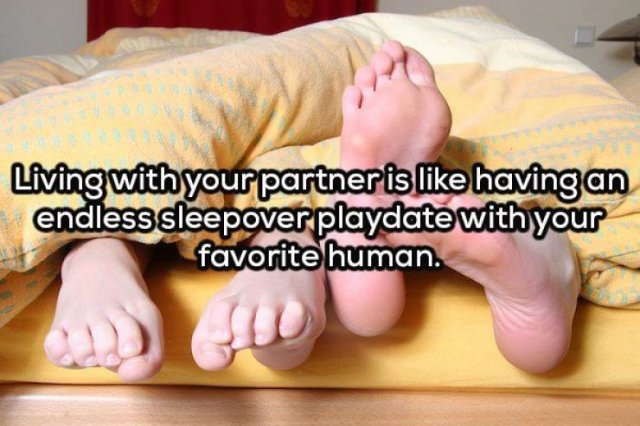 Odd Thoughts (20 pics)