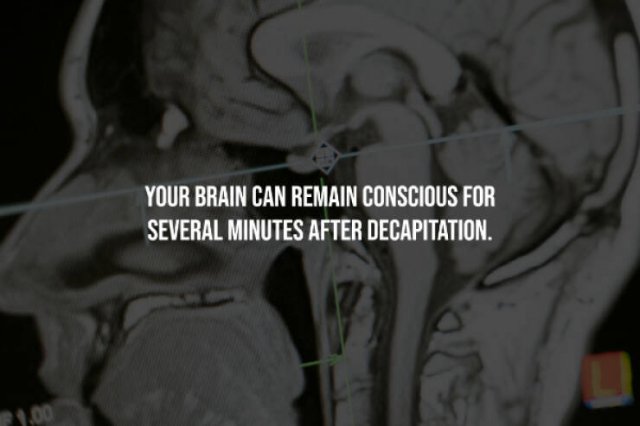 Creepy Facts (15 pics)