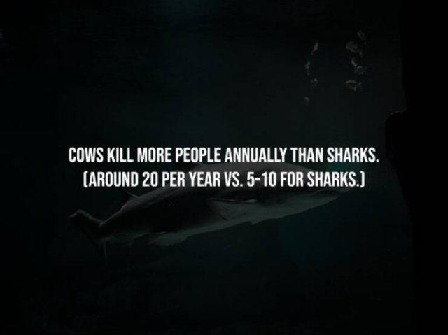 Creepy Facts (15 pics)