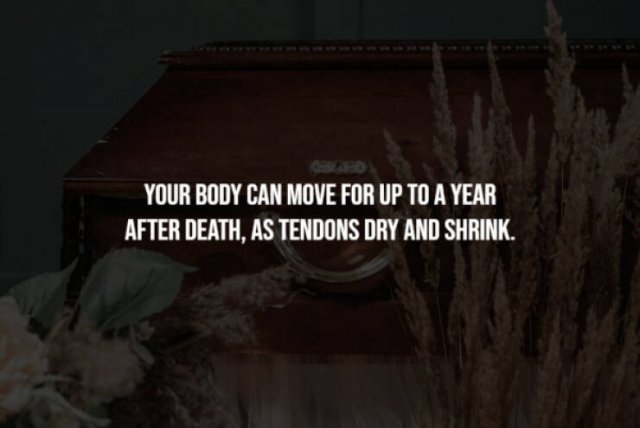 Creepy Facts (15 pics)