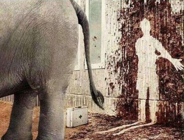 What Is Going On Here? (29 pics) What Is Going On Here? (29 pics)