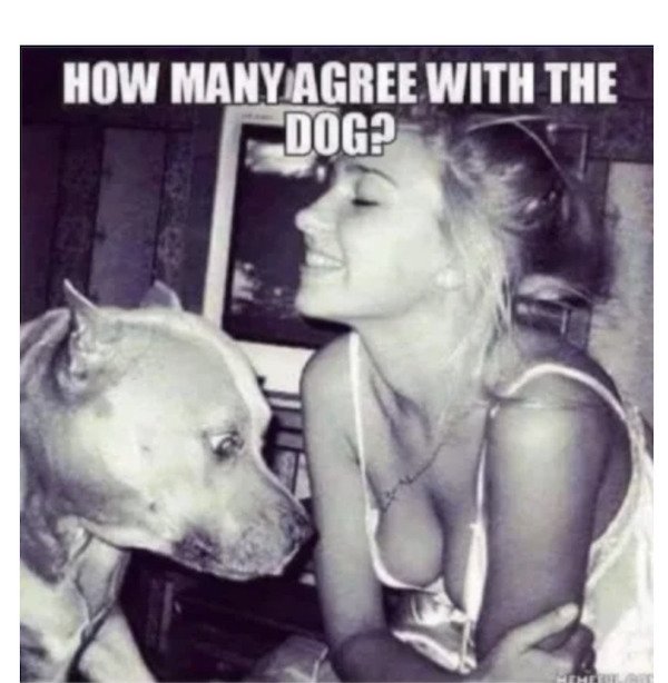 Funny Memes (40 pics) Funny Memes (40 pics)