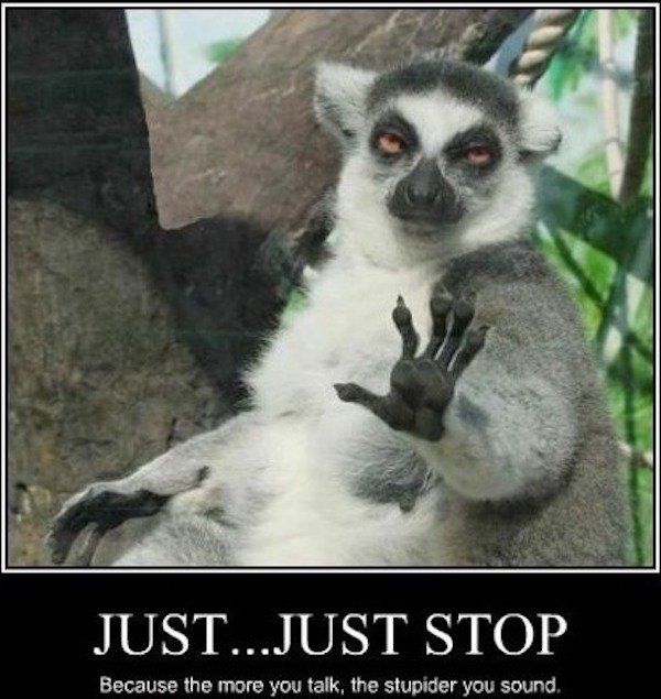 Random Memes (34 pics)