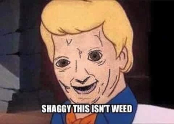 What Is Going On Here? (29 pics)