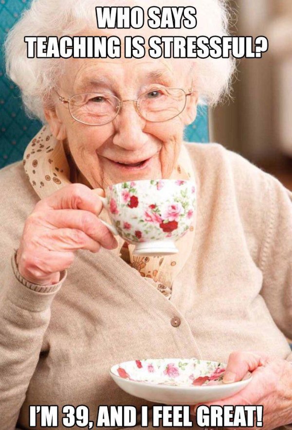 Memes About Teaching (26 pics)