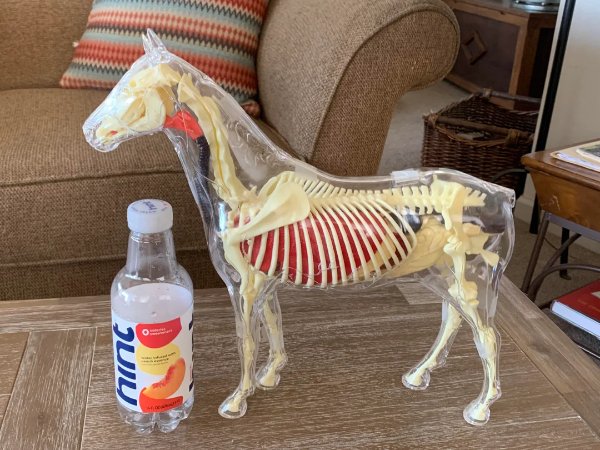 Unusual Finds In Thrift Shops (31 pics)