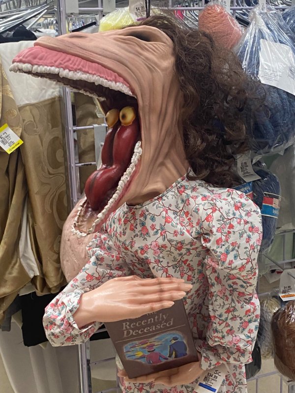 Unusual Finds In Thrift Shops (31 pics)