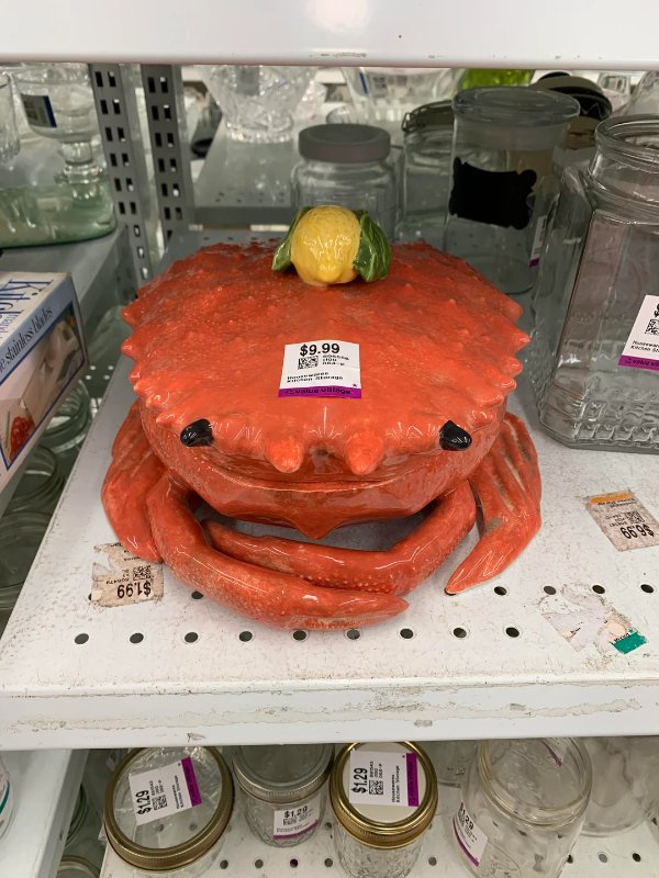 Unusual Finds In Thrift Shops (31 pics)