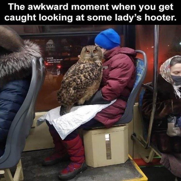 Funny Memes (40 pics) Funny Memes (40 pics)