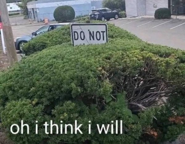 Hilarious Jokes (24 pics)