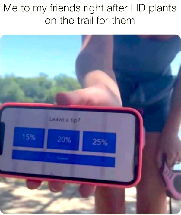 Random Memes (34 pics)