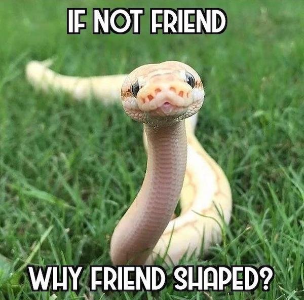 Random Memes (34 pics)