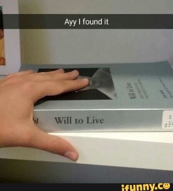 Hilarious Jokes (24 pics)