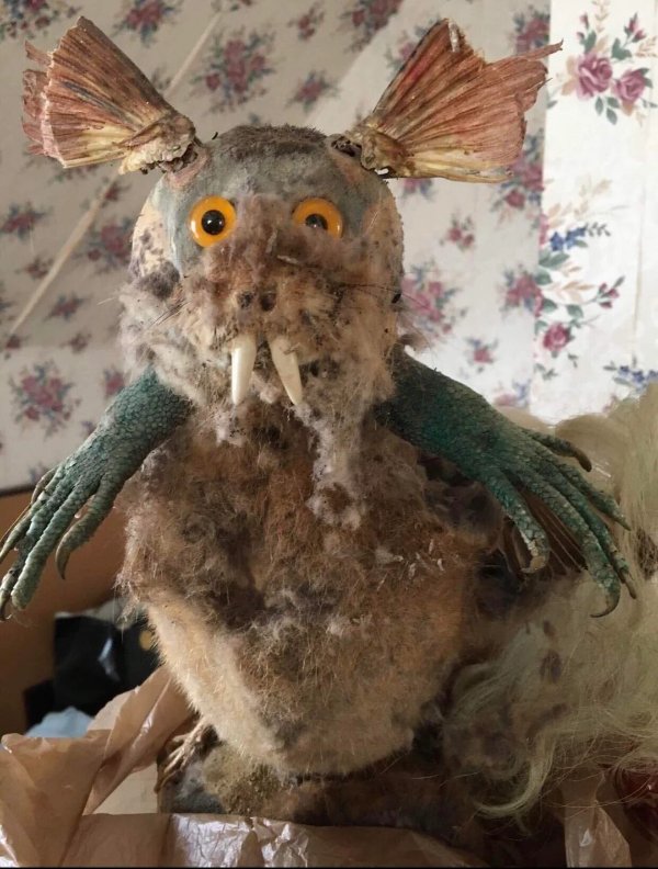 Unusual Finds In Thrift Shops (31 pics)